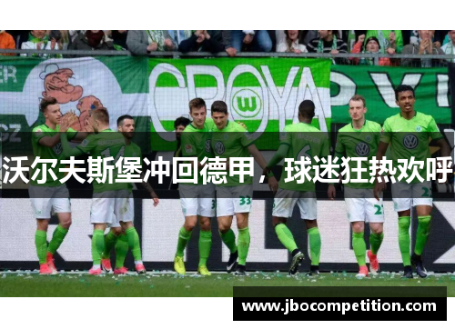沃尔夫斯堡冲回德甲，球迷狂热欢呼